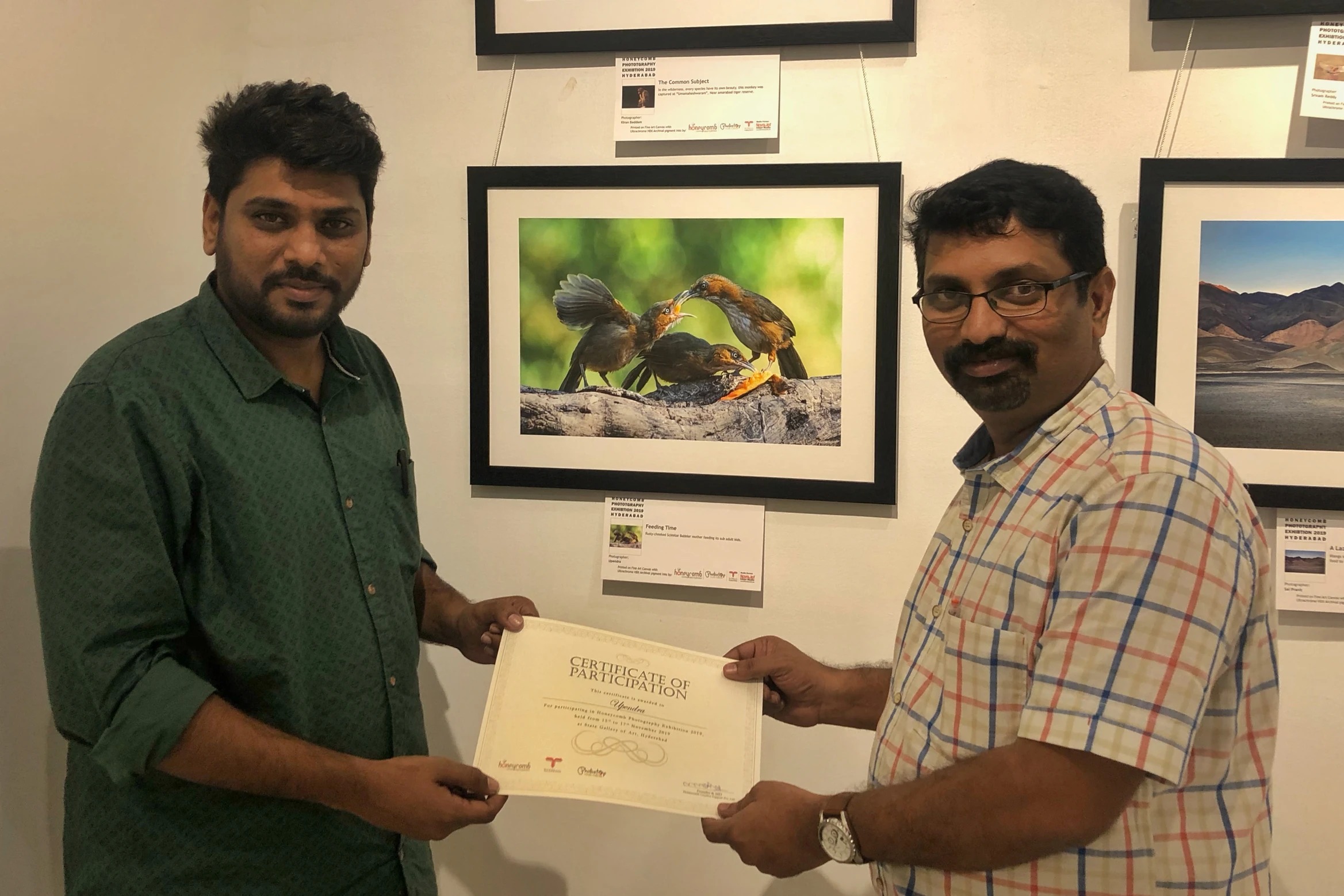 Honeycomb Exhibition Awards